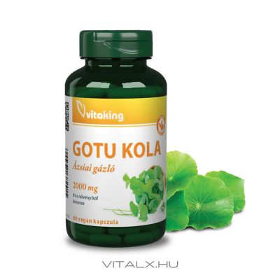 Vitaking Gotu Kola kivonat
